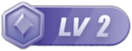 等级-LV2-X游