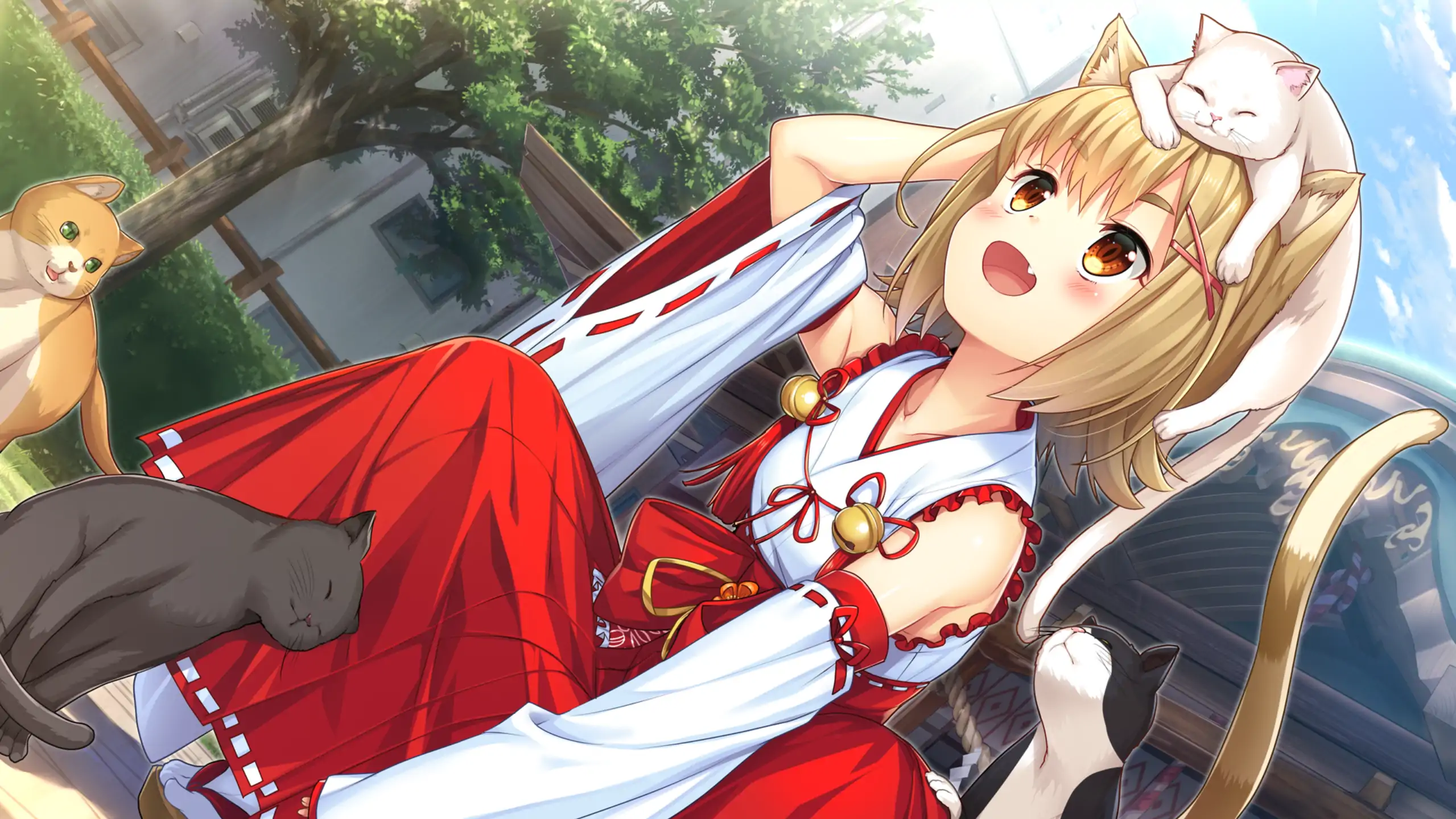 【日系ADV/官方中文/无码】神社里的猫巫女1.03 官方中文【PC/0.72G】 更新图 1